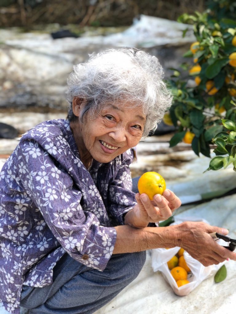 デイサービスセンターあいせ